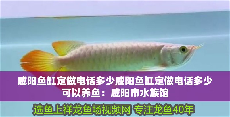 咸陽魚缸定做電話多少咸陽魚缸定做電話多少可以養(yǎng)魚：咸陽市水族館