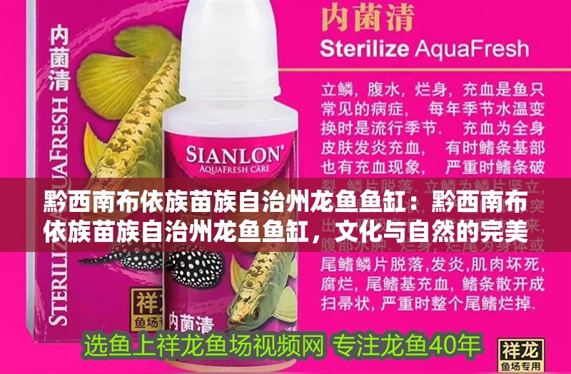 黔西南布依族苗族自治州龍魚(yú)魚(yú)缸：黔西南布依族苗族自治州龍魚(yú)魚(yú)缸，文化與自然的完美融合