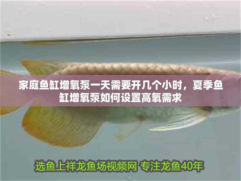 家庭魚缸增氧泵一天需要開幾個小時，夏季魚缸增氧泵如何設置高氧需求