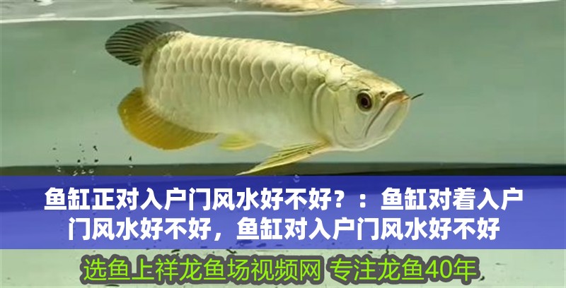 魚缸用增氧泵價格是多少:魚缸增氧機-xtrac增氧機-xtrac增氧機 魚缸正對入戶門風水好不好?:魚缸對著入戶門風水好不好,魚缸對入戶門風水好不好 魚缸百科 魚缸正對入戶門風水好不好?:魚缸對著入戶門風水好不好,魚缸對入戶門風水好不好 魚缸正對入戶門風水好不好?:魚缸對著入戶門風水好不好,魚缸對入戶門風水好不好 魚缸百科