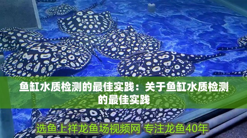 魚缸水質檢測的最佳實踐：關于魚缸水質檢測的最佳實踐