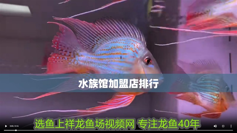 水族館加盟店排行