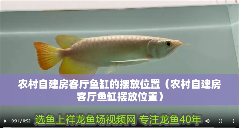 農(nóng)村自建房客廳魚缸的擺放位置（農(nóng)村自建房客廳魚缸擺放位置）