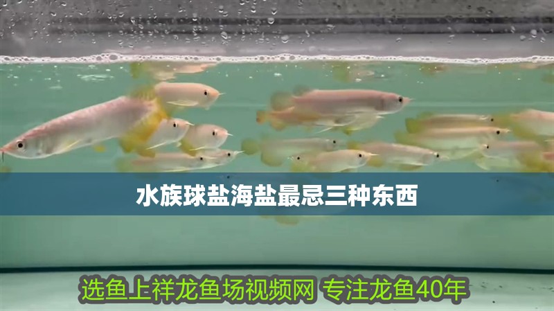 水族球鹽海鹽最忌三種東西