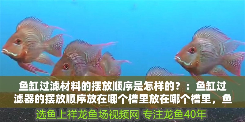 魚缸過濾材料的擺放順序是怎樣的？：魚缸過濾器的擺放順序放在哪個槽里放在哪個槽里，魚缸過濾器 魚缸過濾材料的擺放順序是怎樣的？：魚缸過濾器的擺放順序放在哪個槽里放在哪個槽里，魚缸過濾器 魚缸百科