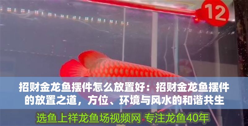 招財金龍魚擺件怎么放置好：招財金龍魚擺件的放置之道，方位、環境與風水的和諧共生