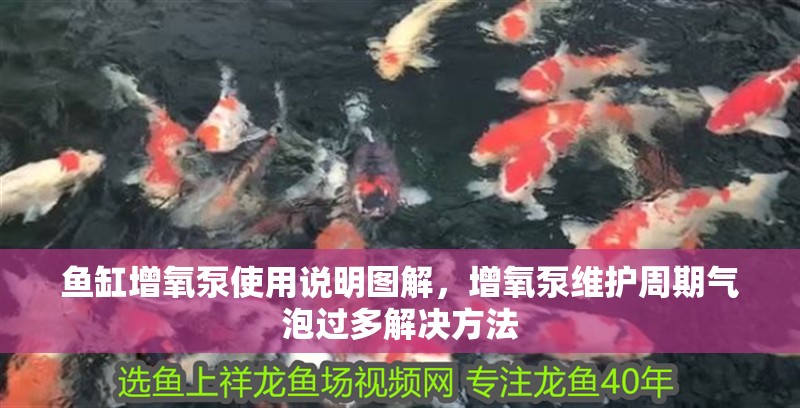 魚缸增氧泵使用說明圖解，增氧泵維護周期氣泡過多解決方法