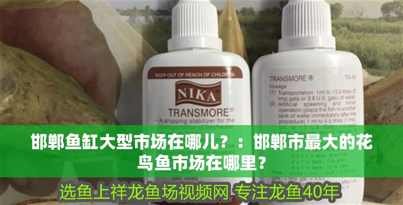 邯鄲魚缸大型市場在哪兒？：邯鄲市最大的花鳥魚市場在哪里？