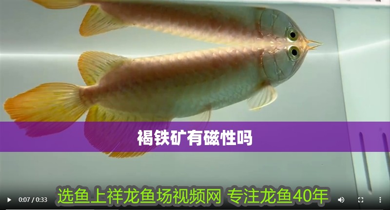 褐鐵礦有磁性嗎 褐鐵礦有磁性嗎 龍魚論壇