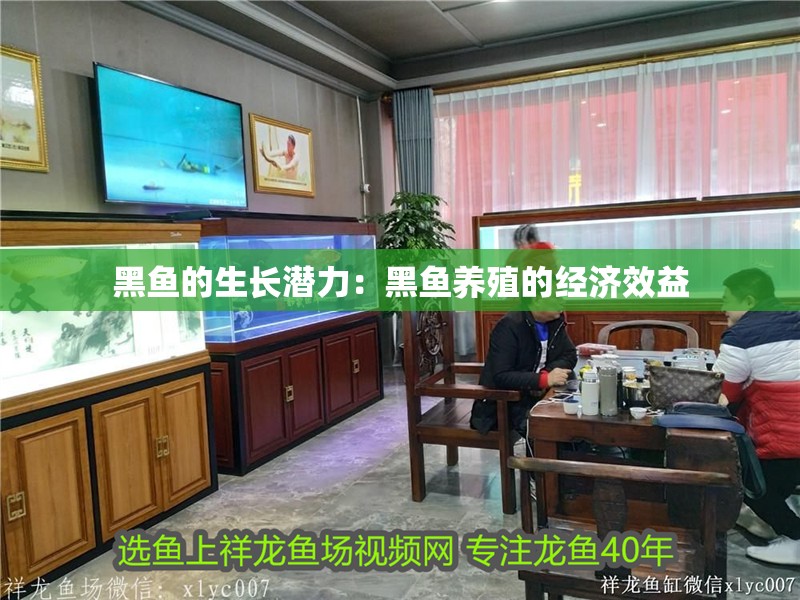 黑魚的生長潛力：黑魚養(yǎng)殖的經(jīng)濟效益 黑魚的生長潛力：黑魚養(yǎng)殖的經(jīng)濟效益 魚缸百科