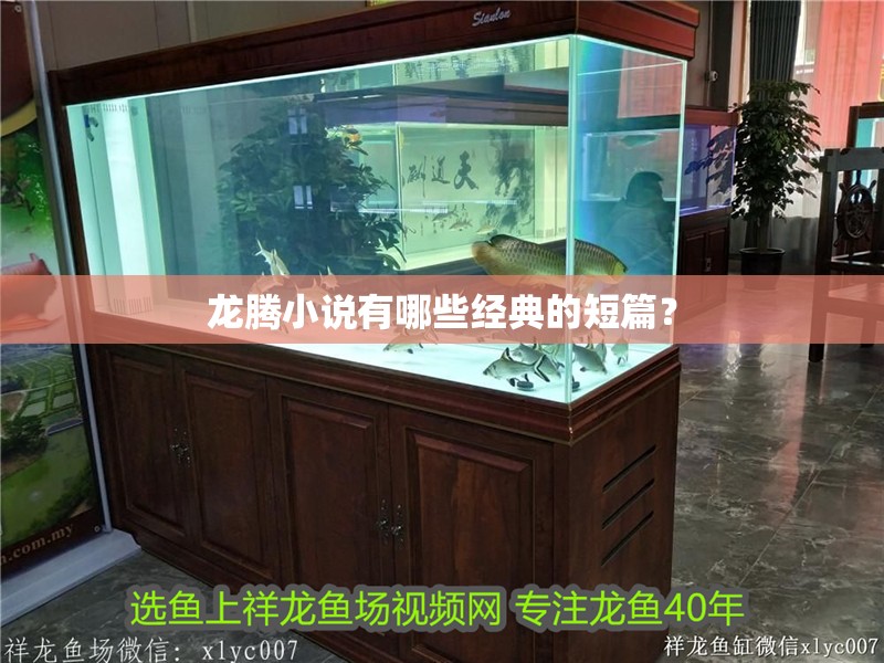 龍騰小說有哪些經(jīng)典的短篇？
