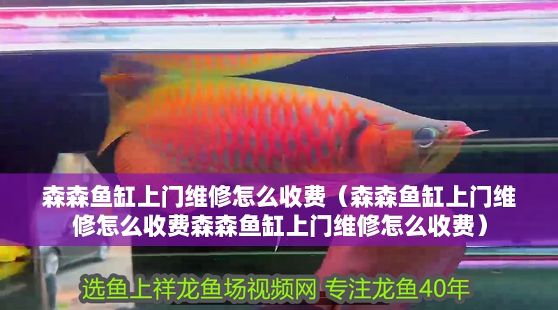 森森魚缸上門維修怎么收費（森森魚缸上門維修怎么收費森森魚缸上門維修怎么收費）
