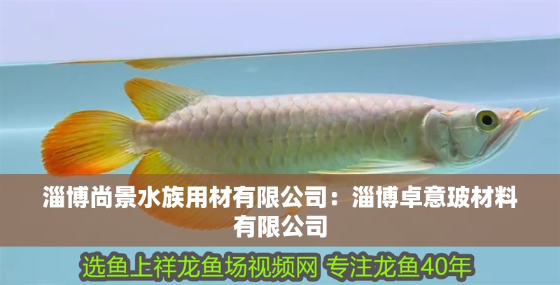 淄博尚景水族用材有限公司：淄博卓意玻材料有限公司