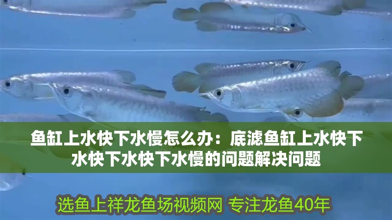 魚缸上水快下水慢怎么辦：底濾魚缸上水快下水快下水快下水慢的問題解決問題 魚缸上水快下水慢怎么辦：底濾魚缸上水快下水快下水快下水慢的問題解決問題 魚缸百科