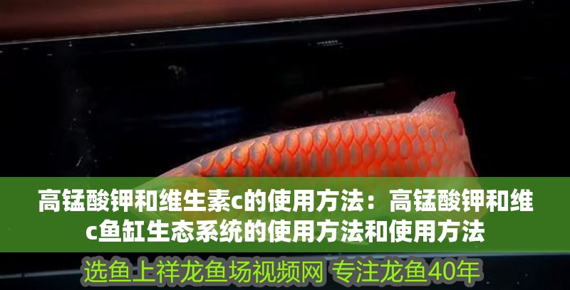 高錳酸鉀和維生素c的使用方法：高錳酸鉀和維c魚缸生態(tài)系統(tǒng)的使用方法和使用方法 高錳酸鉀和維生素c的使用方法：高錳酸鉀和維c魚缸生態(tài)系統(tǒng)的使用方法和使用方法 魚缸百科