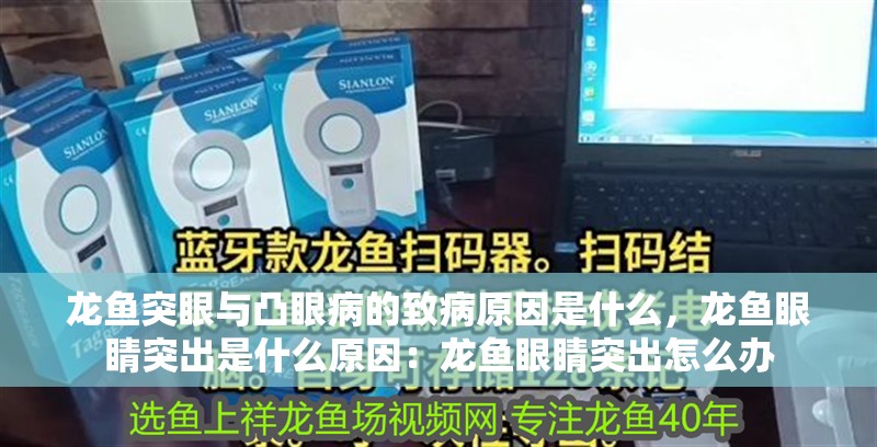 龍魚(yú)突眼與凸眼病的致病原因是什么，龍魚(yú)眼睛突出是什么原因：龍魚(yú)眼睛突出怎么辦
