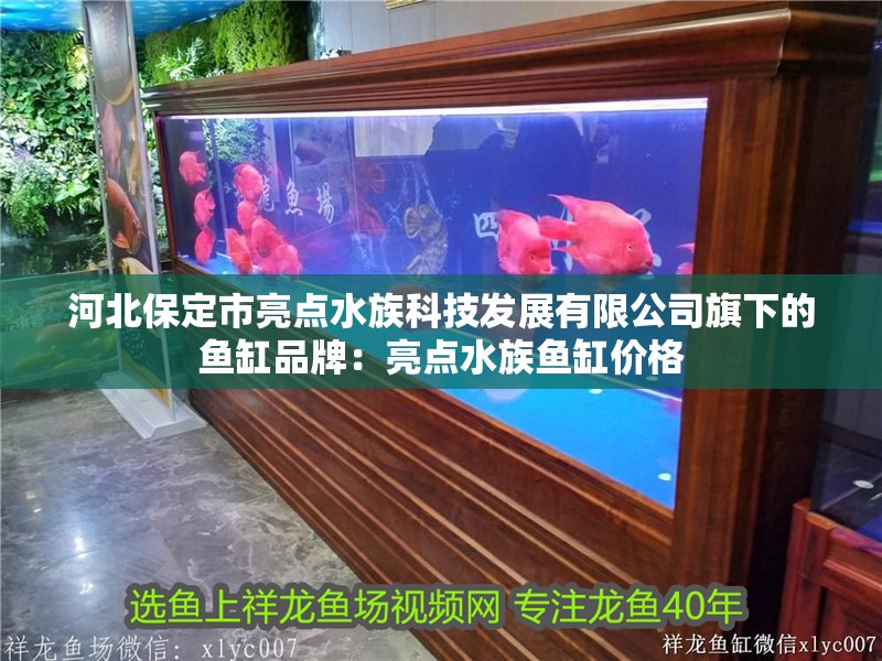 河北保定市亮點(diǎn)水族科技發(fā)展有限公司旗下的魚(yú)缸品牌：亮點(diǎn)水族魚(yú)缸價(jià)格