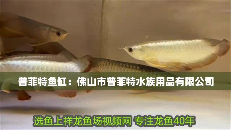 普菲特魚缸：<strong><mark>佛山</mark></strong>市普菲特水族用品有限公司