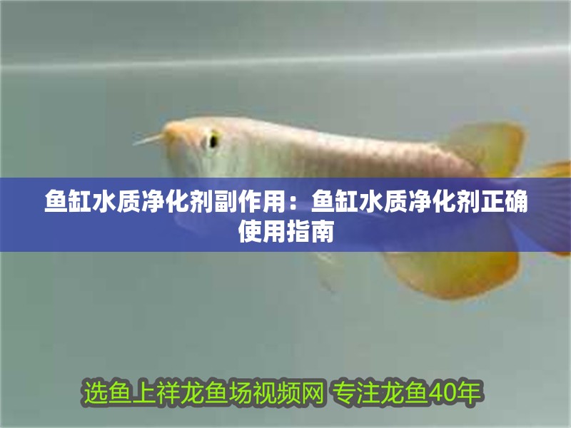 魚(yú)缸用增氧泵價(jià)格是多少:魚(yú)缸增氧機(jī)-xtrac增氧機(jī)-xtrac增氧機(jī) 魚(yú)缸水質(zhì)凈化劑副作用:魚(yú)缸水質(zhì)凈化劑正確使用指南 魚(yú)缸百科 魚(yú)缸水質(zhì)凈化劑副作用:魚(yú)缸水質(zhì)凈化劑正確使用指南 魚(yú)缸水質(zhì)凈化劑副作用:魚(yú)缸水質(zhì)凈化劑正確使用指南 魚(yú)缸百科