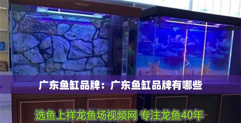 廣東魚缸品牌：廣東魚缸品牌有哪些