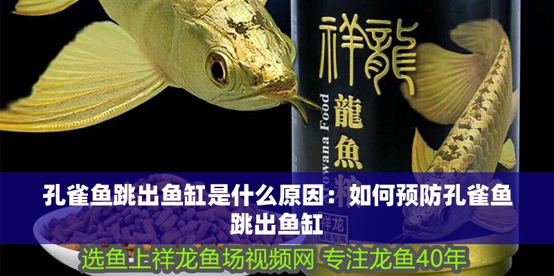 孔雀魚跳出魚缸是什么原因：如何預(yù)防孔雀魚跳出魚缸