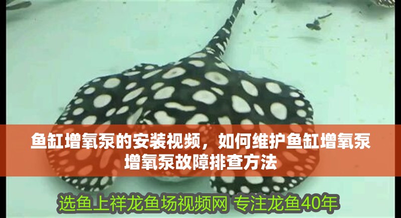 魚缸增氧泵的安裝視頻，如何維護魚缸增氧泵增氧泵故障排查方法