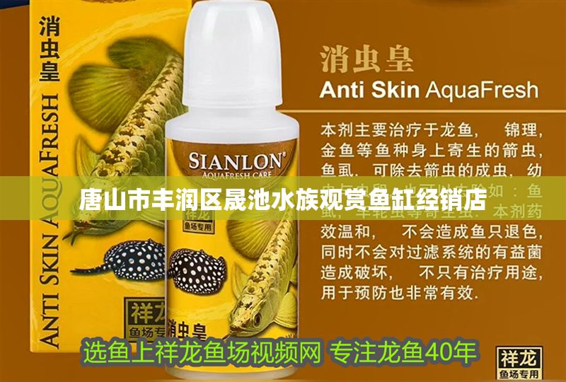 唐山市豐潤區晟池水族觀賞魚缸經銷店