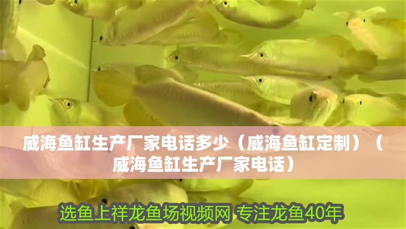 威海魚缸生產廠家電話多少（威海魚缸定制）（威海魚缸生產廠家電話）