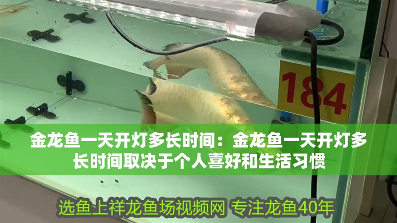 金龍魚一天開燈多長時間：金龍魚一天開燈多長時間取決于個人喜好和生活習慣