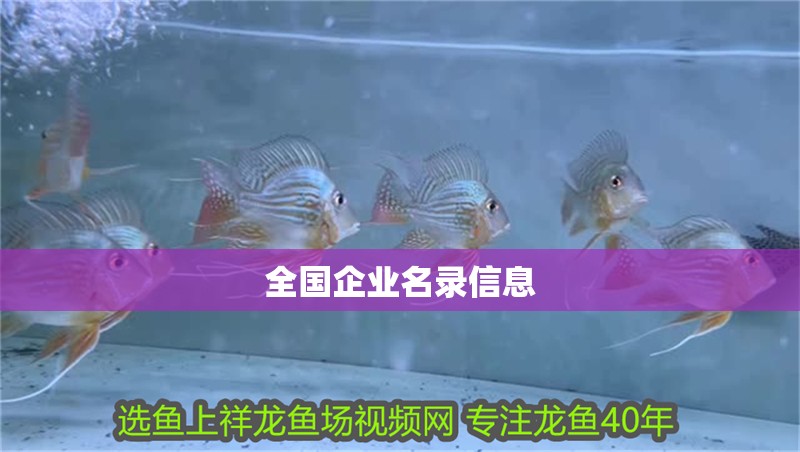 全國企業名錄信息