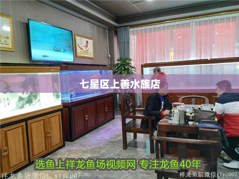 七星區(qū)上善水族店