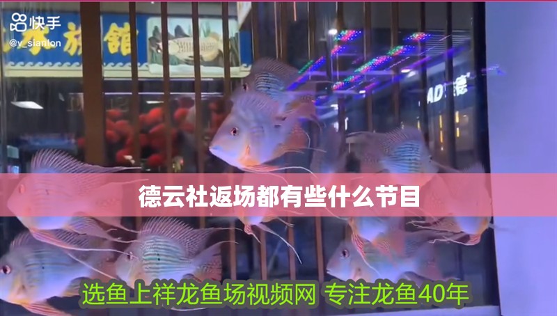 德云社返場都有些什么節目
