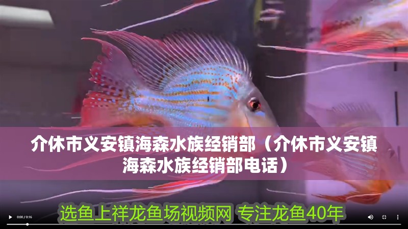 介休市義安鎮海森水族經銷部（介休市義安鎮海森水族經銷部電話）