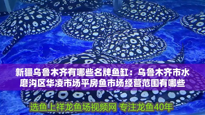 新疆烏魯木齊有哪些名牌魚缸：烏魯木齊市水磨溝區華凌市場平房魚市場經營范圍有哪些