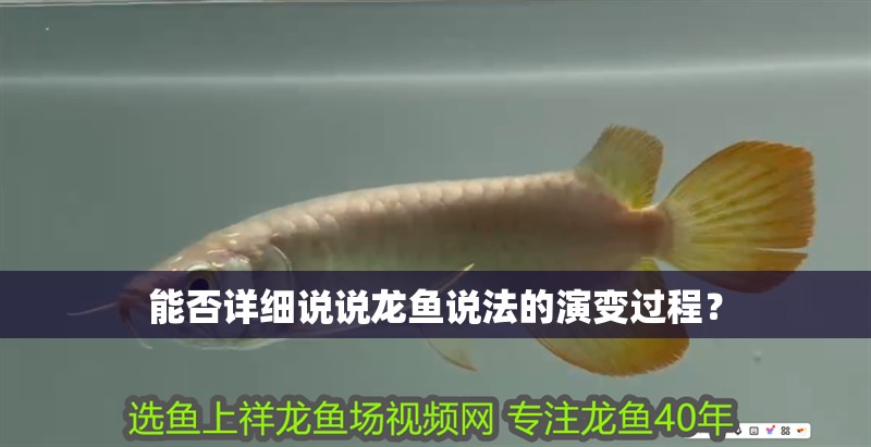 能否詳細說說龍魚說法的演變過程？