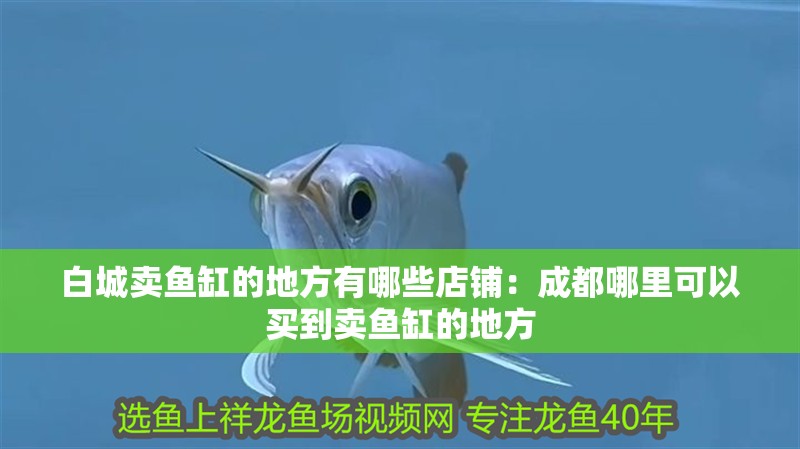 <strong><mark>白城</mark></strong>賣魚缸的地方有哪些店鋪：成都哪里可以買到賣魚缸的地方