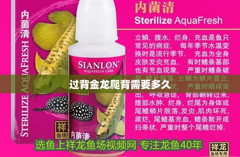 過(guò)背金龍爬背需要多久 過(guò)背金龍爬背需要多久 龍魚論壇