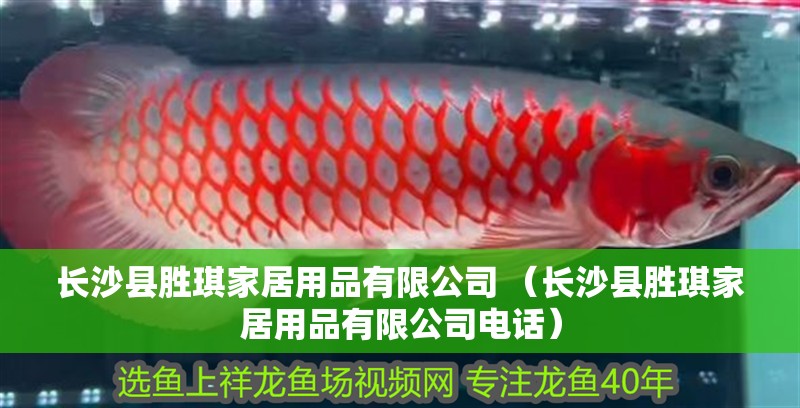 長沙縣勝琪家居用品有限公司 （長沙縣勝琪家居用品有限公司電話）