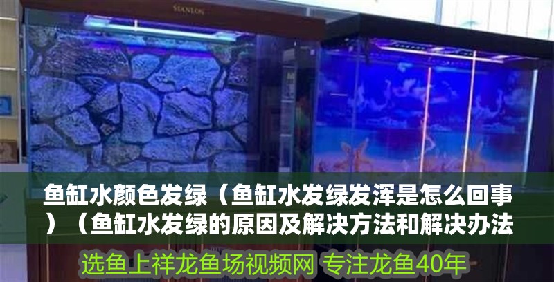 魚缸水顏色發綠（魚缸水發綠發渾是怎么回事）（魚缸水發綠的原因及解決方法和解決辦法和解決辦法） 魚缸水顏色發綠（魚缸水發綠發渾是怎么回事）（魚缸水發綠的原因及解決方法和解決辦法和解決辦法） 魚缸百科