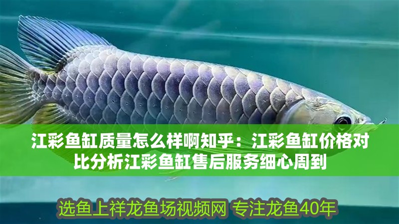 江彩魚缸質量怎么樣啊知乎：江彩魚缸價格對比分析江彩魚缸售后服務細心周到