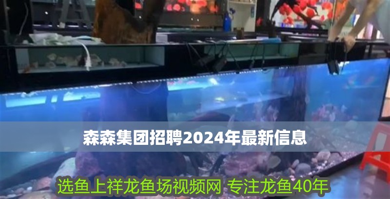森森集團招聘2024年最新信息 森森集團招聘2024年最新信息 龍魚論壇