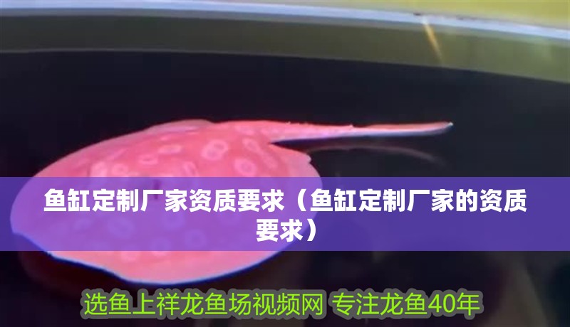 魚(yú)缸定制廠家資質(zhì)要求（魚(yú)缸定制廠家的資質(zhì)要求）