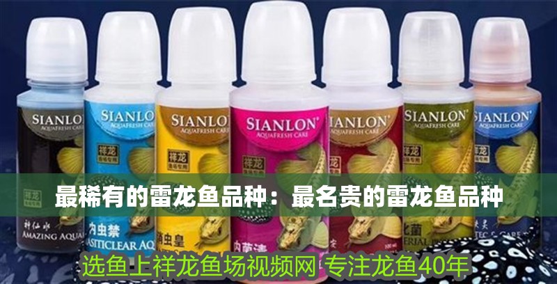 最稀有的雷龍魚品種：最名貴的雷龍魚品種