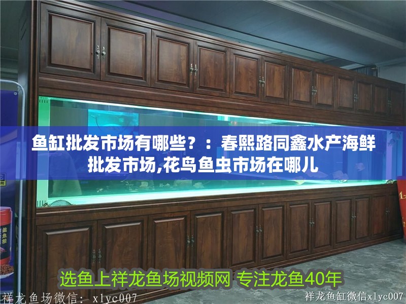 魚缸批發市場有哪些？：春熙路同鑫水產海鮮批發市場,花鳥魚蟲市場在哪兒