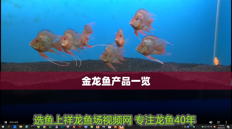 金龍魚產品一覽 金龍魚產品一覽 龍魚論壇