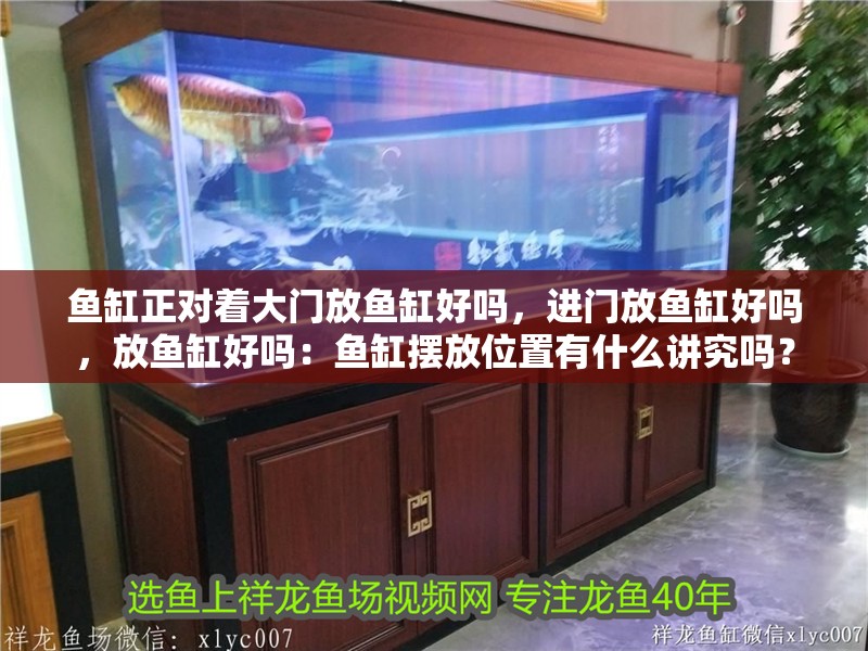 魚缸正對著大門放魚缸好嗎，進門放魚缸好嗎，放魚缸好嗎：魚缸擺放位置有什么講究嗎？