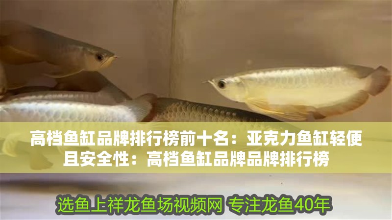 高檔魚缸品牌排行榜前十名：亞克力魚缸輕便且安全性：高檔魚缸品牌品牌排行榜
