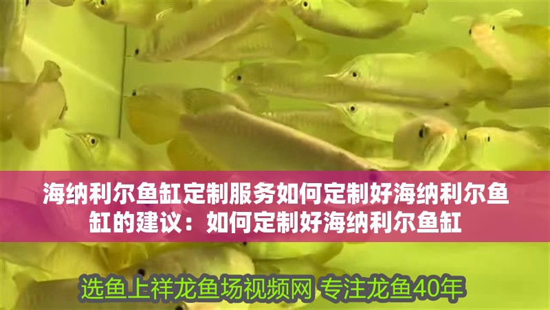 海納利爾魚缸定制服務如何定制好海納利爾魚缸的建議：如何定制好海納利爾魚缸