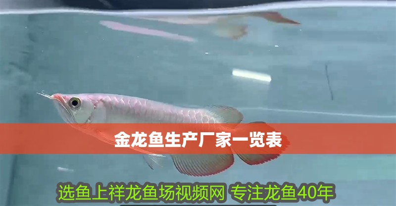 金龍魚生產(chǎn)廠家一覽表