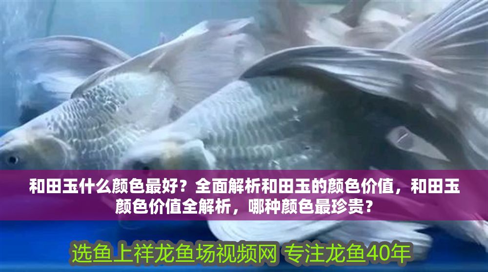 和田玉什么顏色最好？全面解析和田玉的顏色價值，和田玉顏色價值全解析，哪種顏色最珍貴？